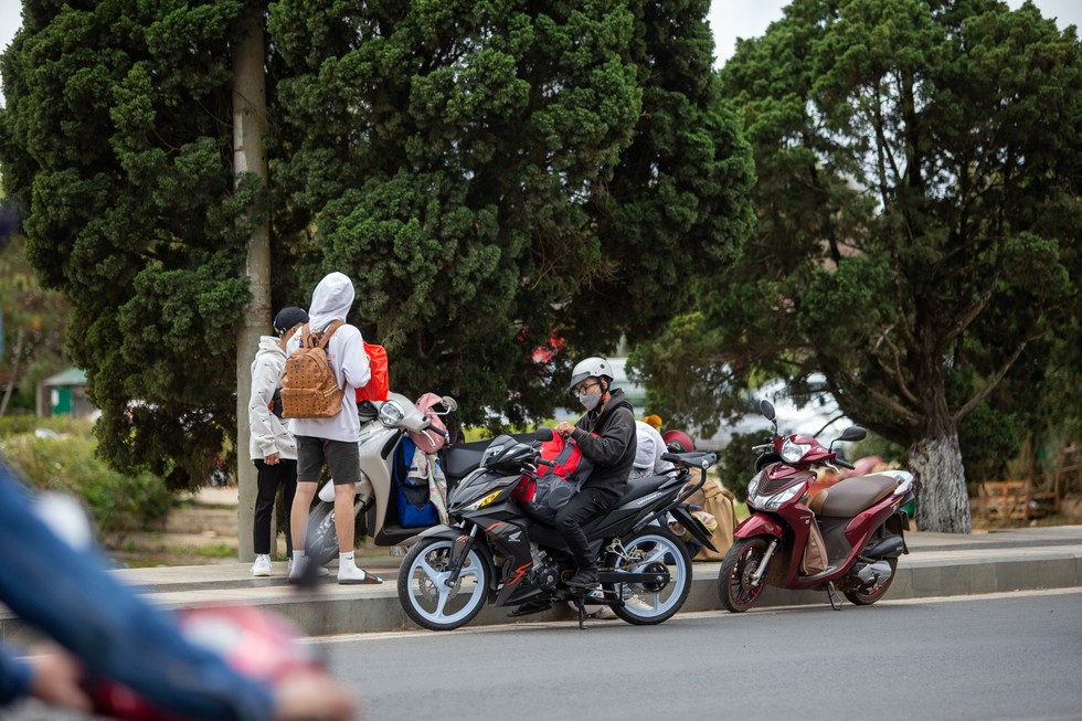 Ồ ạt khách du xuân, Đà Lạt trở thành biển người - Ảnh 4. Ồ ạt khách du xuân, Đà Lạt trở thành biển người - Ảnh 4.