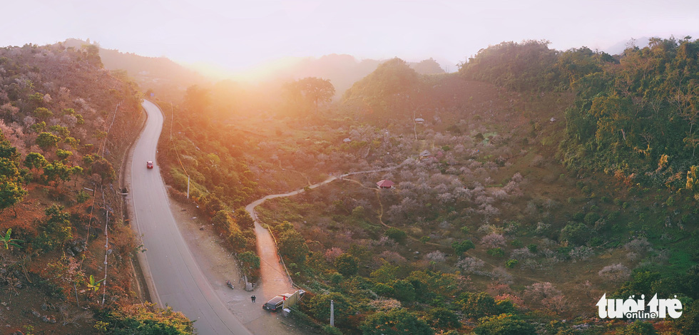 Leaving the city to return to the countryside to work as a 'land of Moc Chau' - Photo 6.