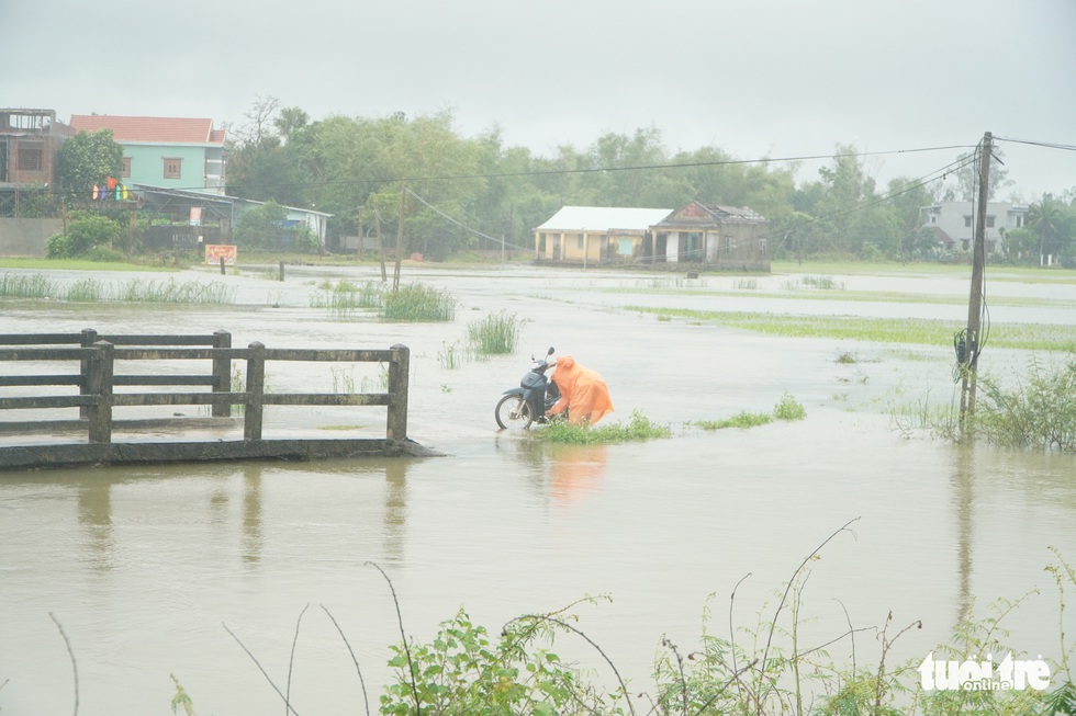 Mưa lớn, đồng ruộng ngập nước lênh láng, lúa ngã đổ - Ảnh 4. Mưa lớn, đồng ruộng ngập nước lênh láng, lúa ngã đổ - Ảnh 4.