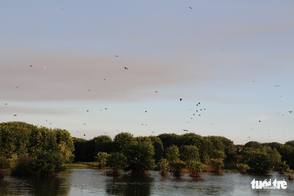 Going on holiday to Dong Ho - a saltwater lagoon with sweet fruits, dropping nets to catch fish and watch birds - Photo 3.