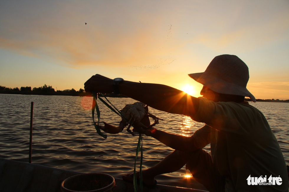 Going on holiday to Dong Ho - saltwater lagoon with sweet fruits, dropping nets to catch fish and watching birds - Photo 4.