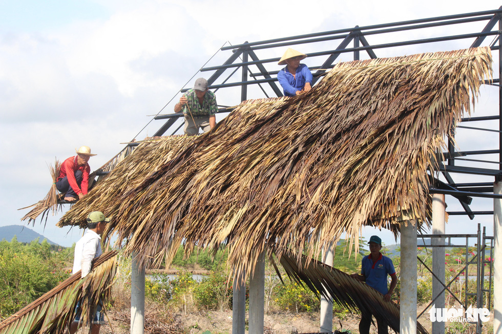 Going on holiday to Dong Ho - saltwater lagoon with sweet fruits, dropping nets to catch fish and watch birds - Photo 6.