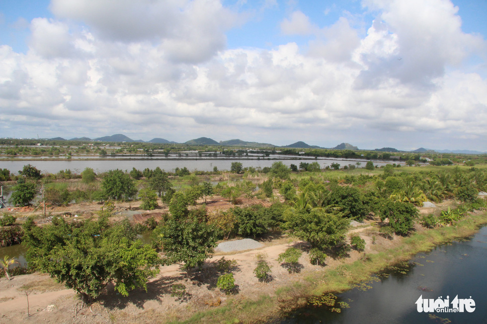 Going on holiday to Dong Ho - saltwater lagoon with sweet fruits, dropping nets to catch fish and watch birds - Photo 5.