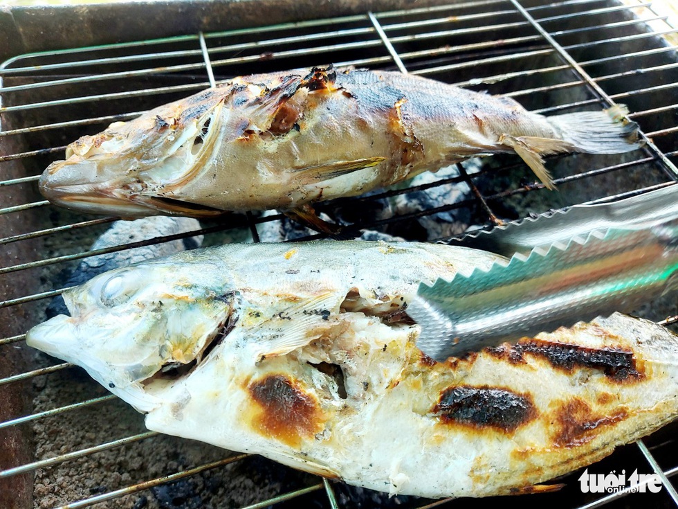 Rạch Vẹm - nơi lý tưởng để khách đi du lịch trải nghiệm dịp lễ 30-4 - Ảnh 4. Rạch Vẹm - nơi lý tưởng để khách đi du lịch trải nghiệm dịp lễ 30-4 - Ảnh 4.