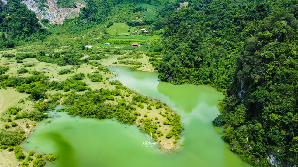 Dong Lam steppe changes to new clothes in the floating season, beautiful like a fairy - Photo 2.