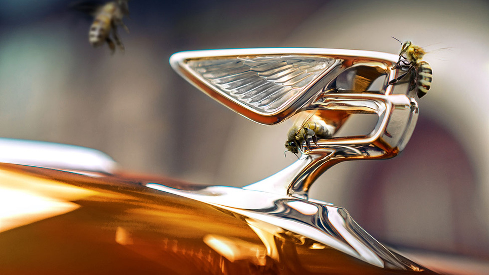 Why are car companies racing to keep bees, luxury accommodation, watch racing for free?  - Photo 4.