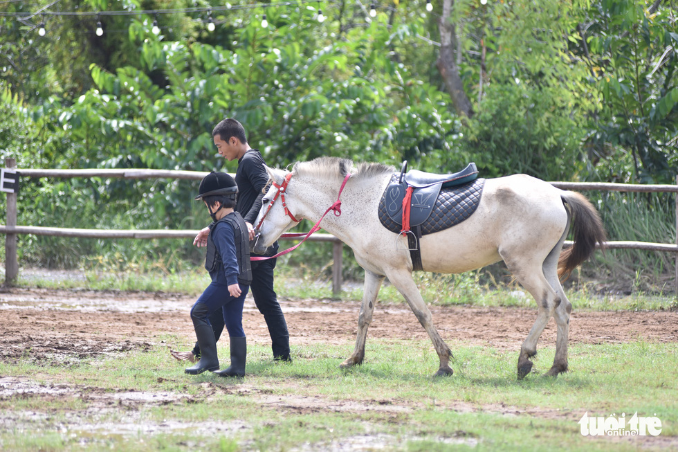 Bạn trẻ TP.HCM trải nghiệm cưỡi ngựa vui chơi cuối tuần - Ảnh 4.