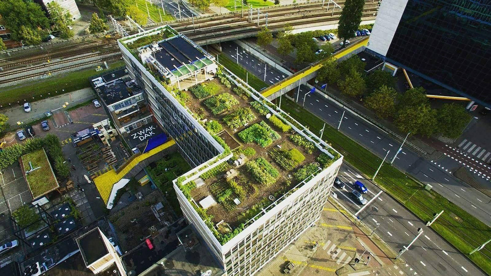 Những hình ảnh ấn tượng về các công trình kiến trúc xanh ở Rotterdam, Hà Lan - Ảnh 4.