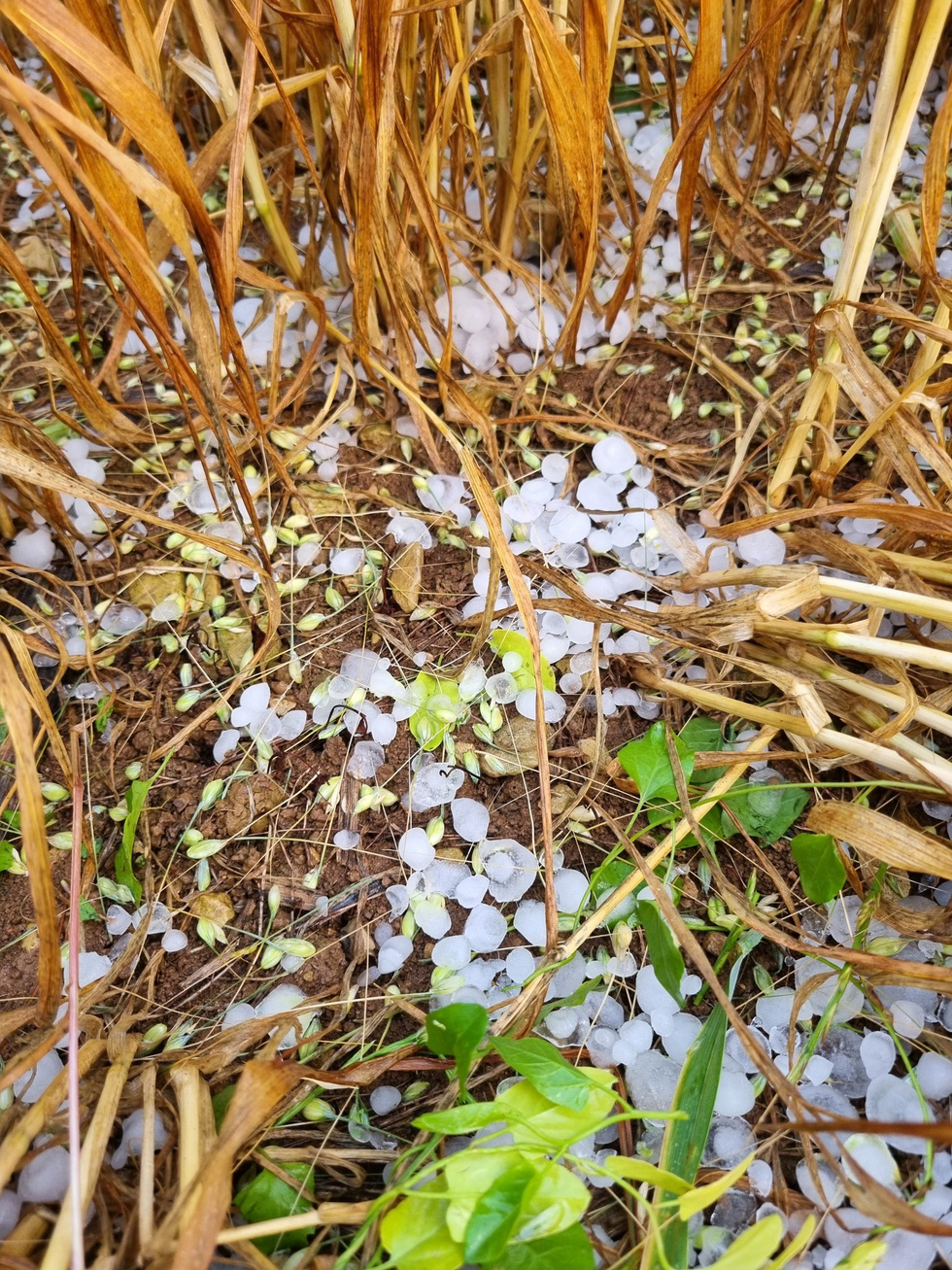 Huge hail in France - Photo 2. Huge hail in France - Photo 2.