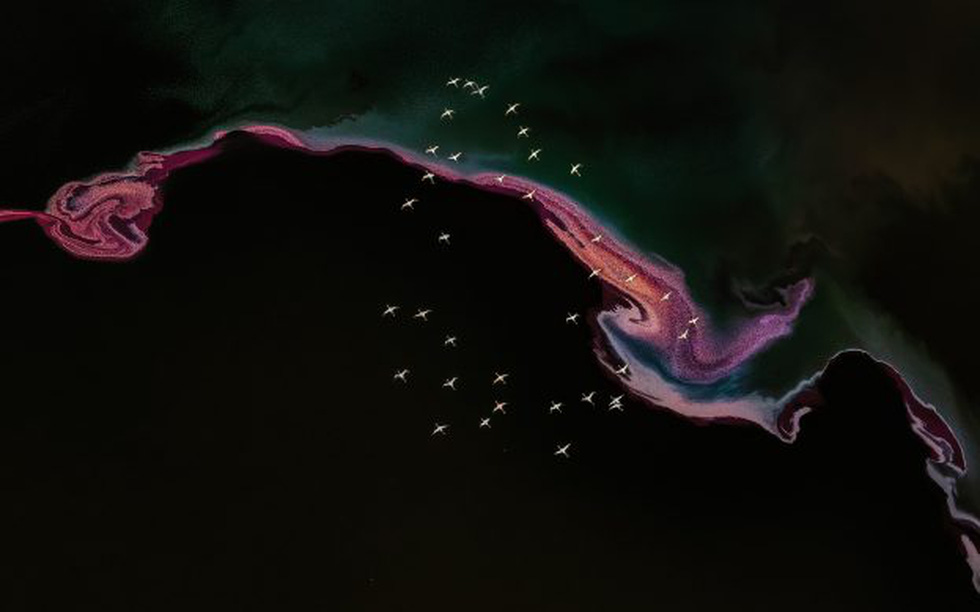 The magical beauty of flamingos in the lake of death - Photo 4.