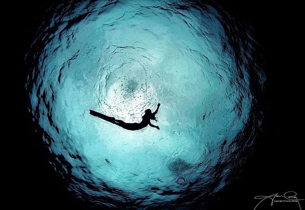 Những hình ảnh tuyệt đẹp trong Ngày Đại dương thế giới của nhiếp ảnh gia người Singapore - Ảnh 1.