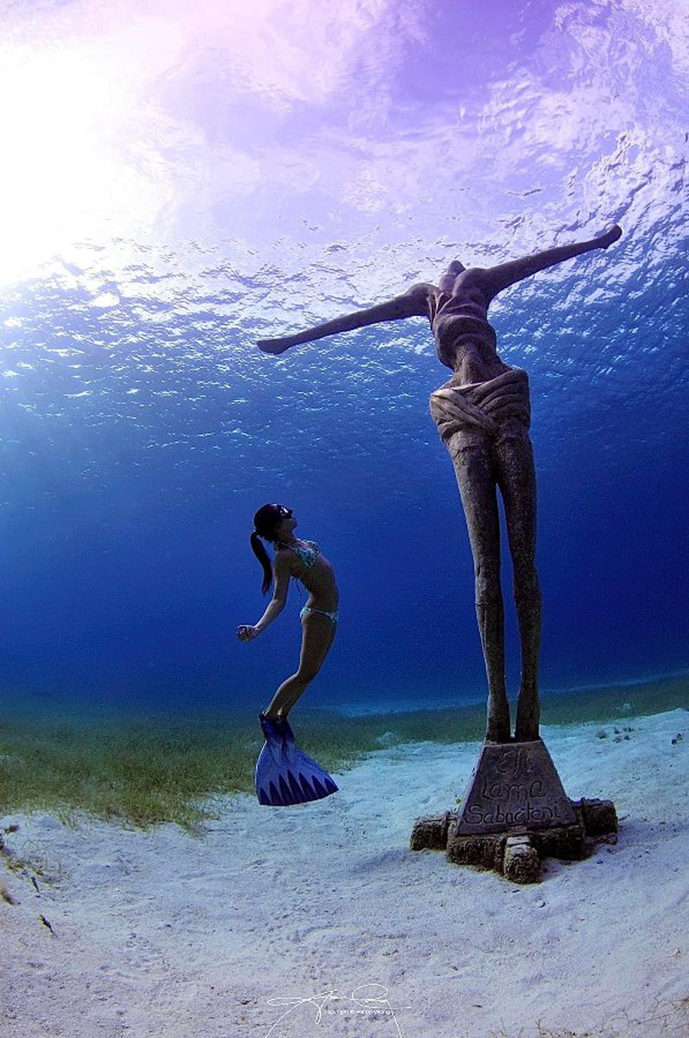 Beautiful images on World Oceans Day by Singaporean photographer - Photo 4.