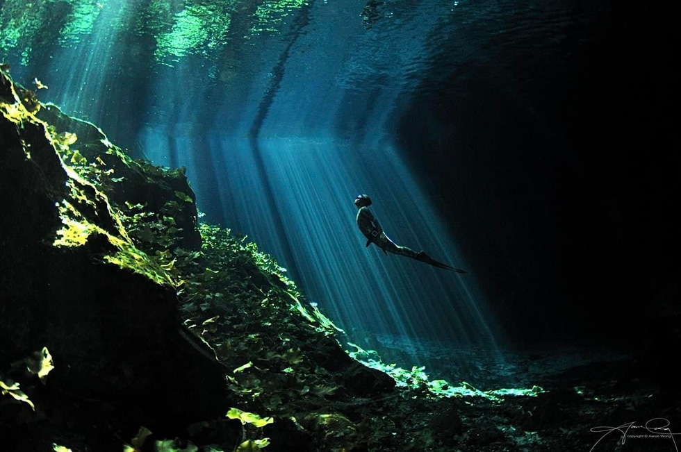 Beautiful images on World Oceans Day by Singaporean photographer - Photo 7.