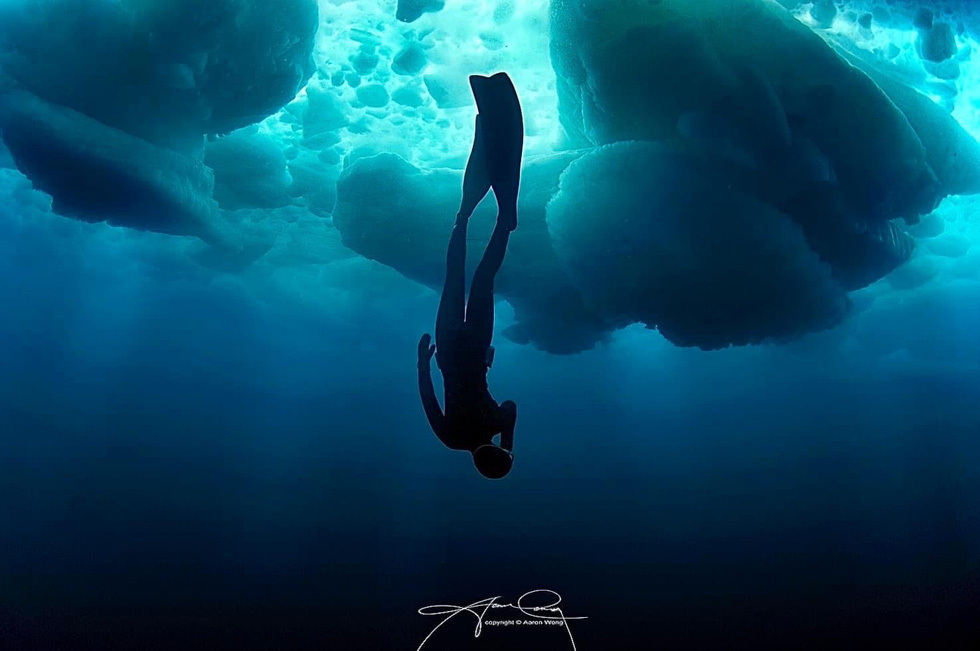 Những hình ảnh tuyệt đẹp trong Ngày Đại dương thế giới của nhiếp ảnh gia người Singapore - Ảnh 8.