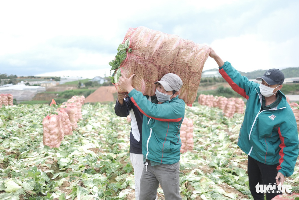 Tập đoàn Phương Trang nhận bằng khen của Thủ tướng - Ảnh 3.