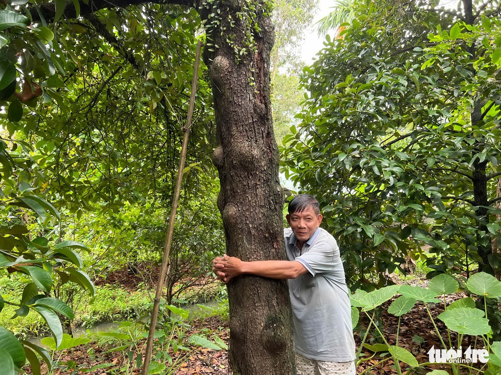 Về Lái Thiêu mà nhớ nhà vườn - Ảnh 6. Về Lái Thiêu mà nhớ nhà vườn - Ảnh 6.