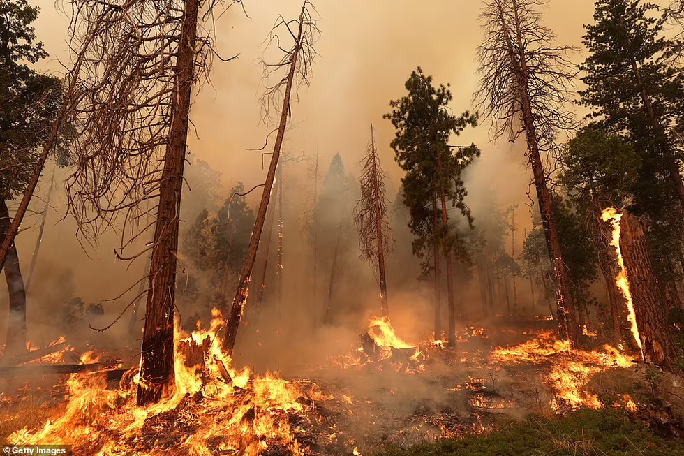 Cháy rừng kinh hoàng ở California, hơn 10.000 người sơ tán - Ảnh 10.