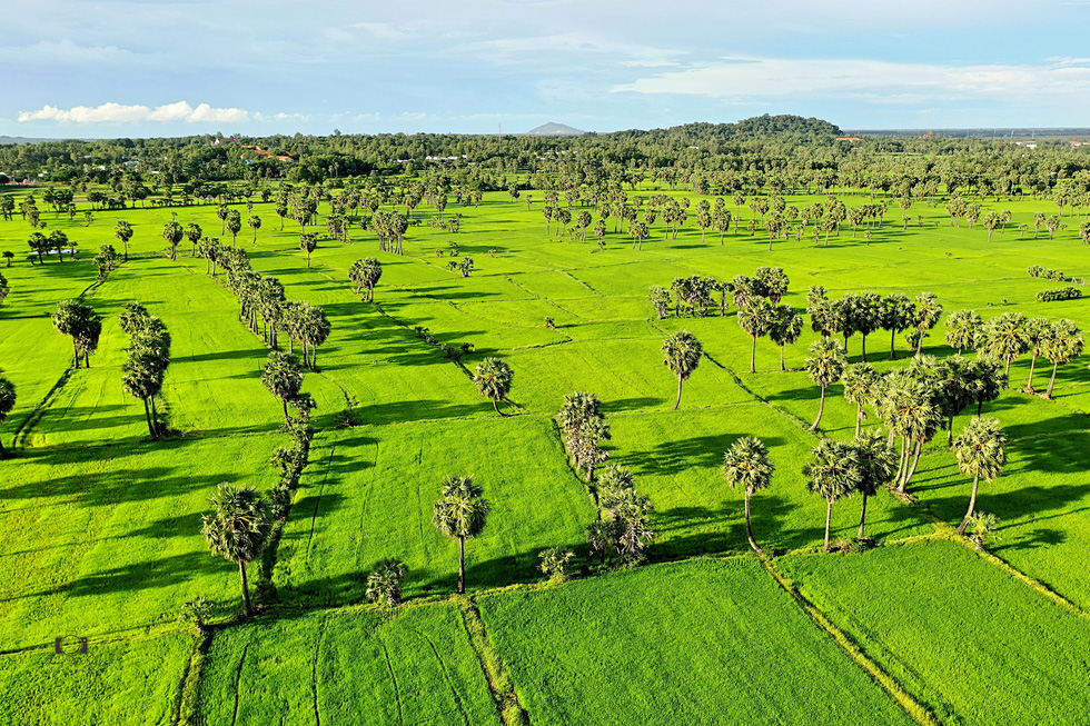 Về Tịnh Biên - An Giang leo núi Cấm, ngắm hoàng hôn trên cánh đồng thốt nốt - Ảnh 11.