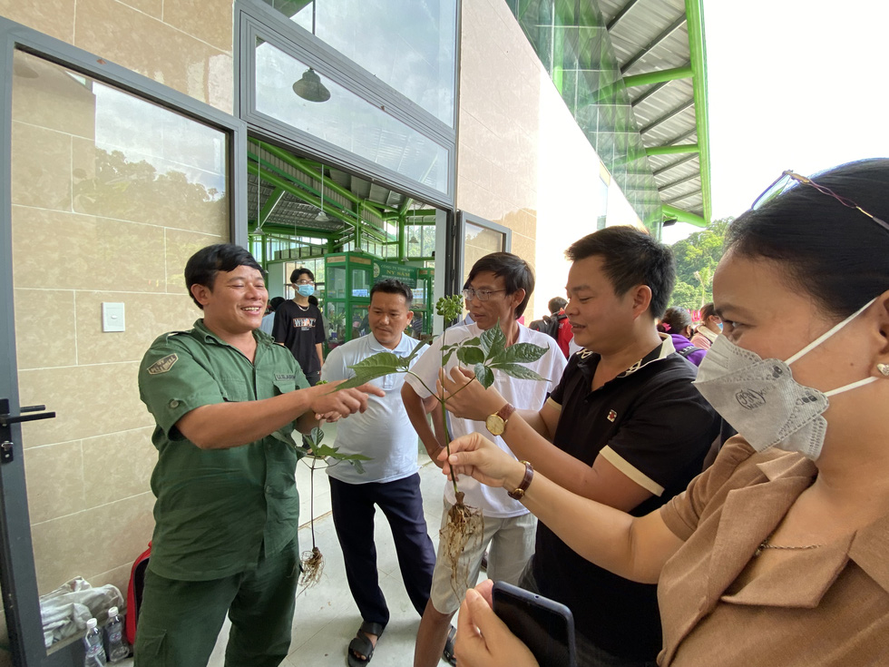 Du khách thú vị xem hội thi sâm Ngọc Linh ở thủ phủ sâm Nam Trà My - Ảnh 3.