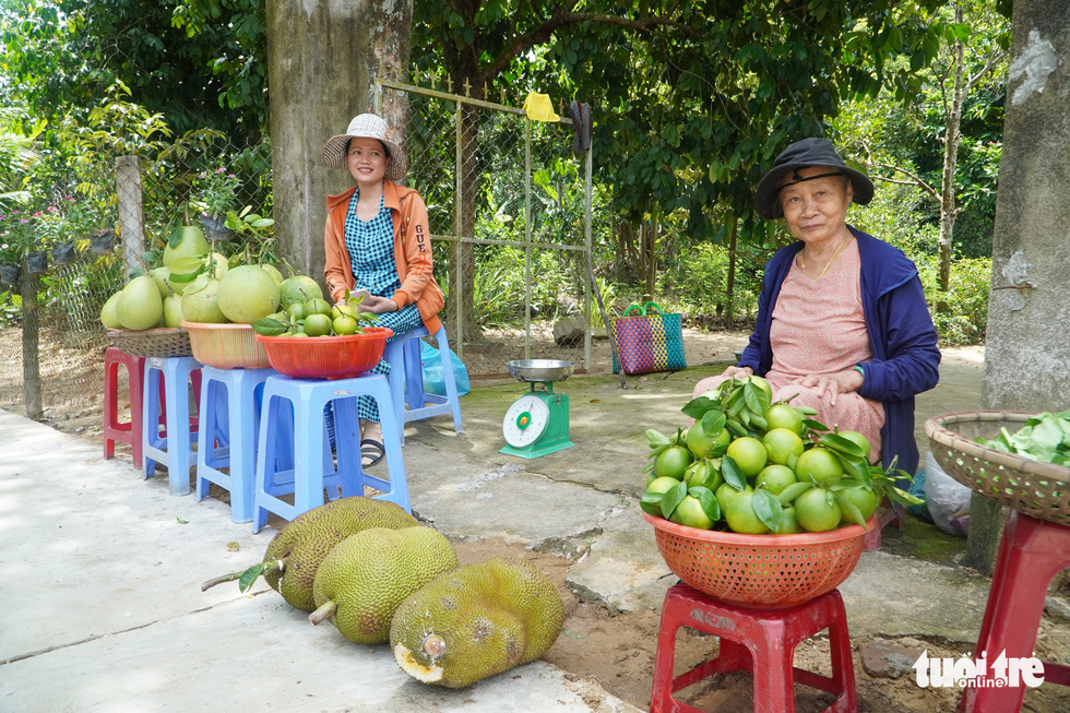 Going back to Dai Binh village to play festivals and enjoy fruit from the garden on the Thu Bon River - Photo 4.