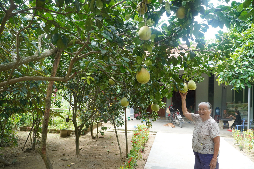Going to Dai Binh village to play festivals and enjoy fruit from the garden on the Thu Bon river - Photo 2.