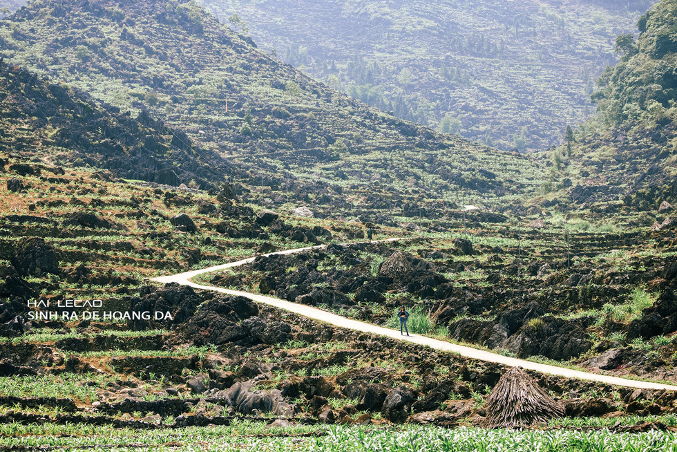 Driving on majestic roads, camping in the middle of Ha Giang mountains and rivers - Photo 4.