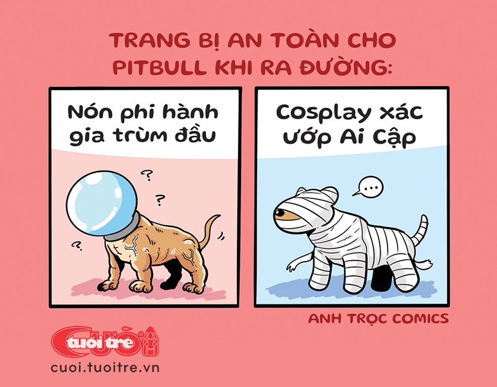 Trang bị an toàn cho pitbull - Ảnh 1. Trang bị an toàn cho pitbull - Ảnh 1.