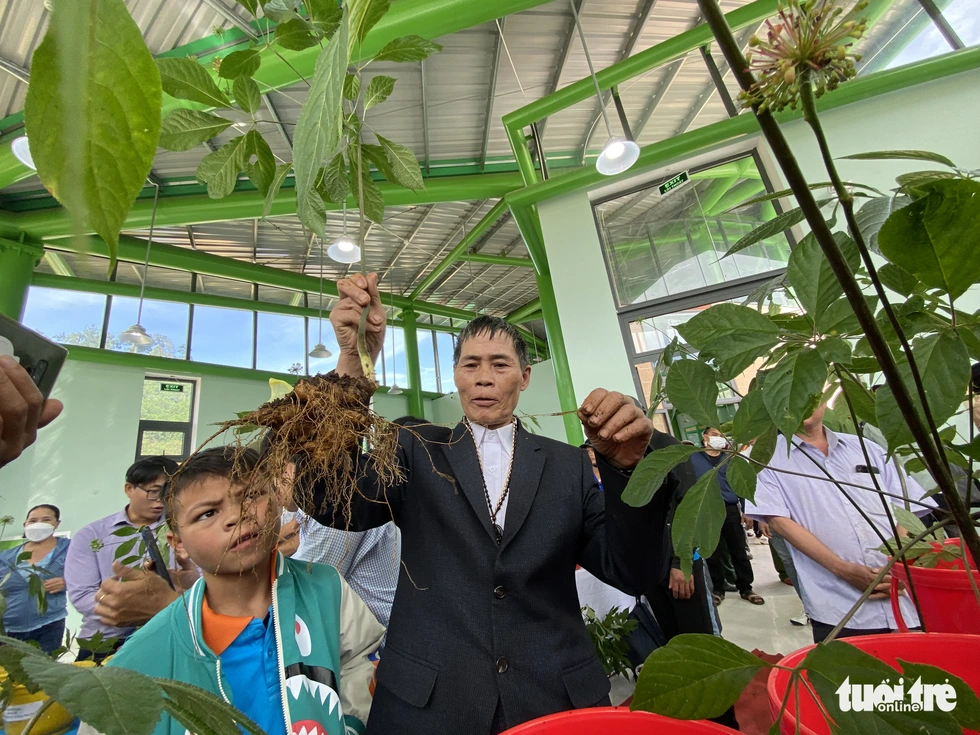 Chủ tịch nước: Sâm Ngọc Linh là quốc bảo, quốc kế dân sinh chứ không phải để tủ kính - Ảnh 13. Chủ tịch nước: Sâm Ngọc Linh là quốc bảo, quốc kế dân sinh chứ không phải để tủ kính - Ảnh 13.