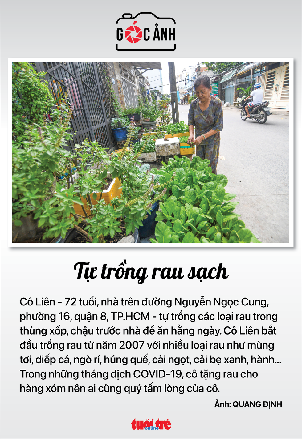 Tin sáng 20-9: Ca sốt xuất huyết ở Hà Nội tăng 4,5 lần; Giá heo gà giảm thêm, giá trứng vẫn cao - Ảnh 8.