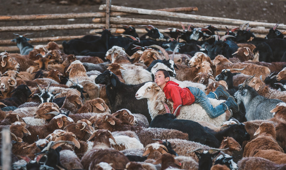 Thợ săn đại bàng - trái tim hoang dã trên thảo nguyên - Ảnh 17.