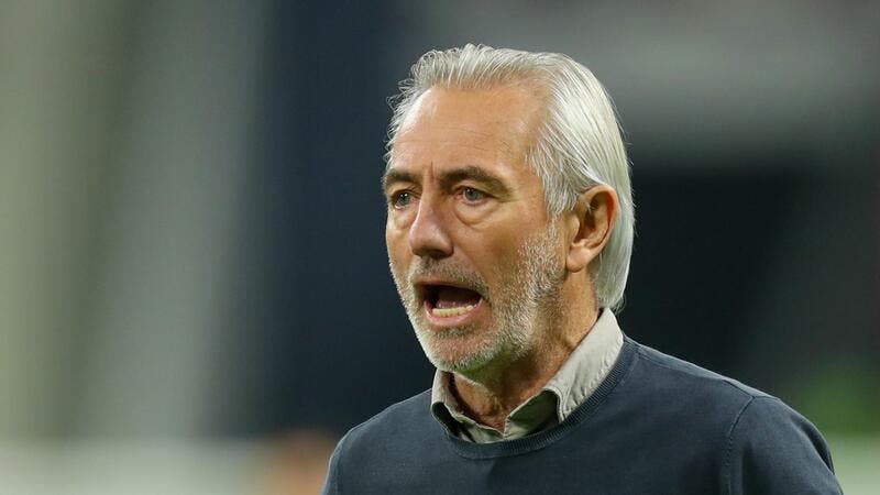 Ông Bert van Marwijk trở lại nắm tuyển UAE. Ảnh: AFP.