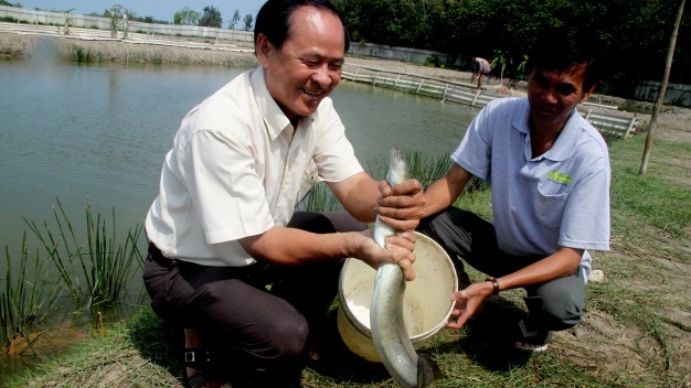 Trang trại cá chình của ông Võ Văn Quang, xã Ninh Hòa - Ảnh: Tấn Đức