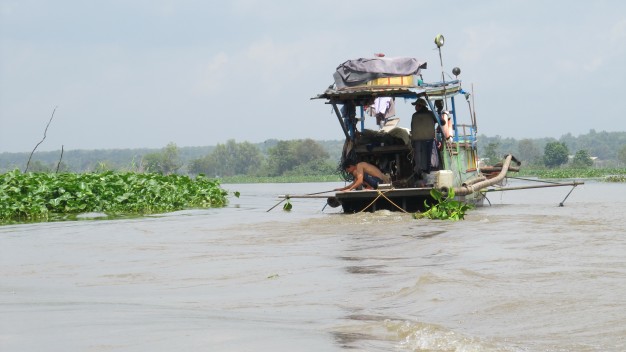 Sông Vàm Cỏ - Ảnh: Thanh Vũ