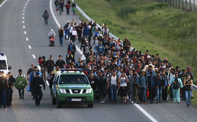 Cảnh sát Hungary áp giải một nhóm người di dân đang đi bộ trên đường ôtô đến Budapest ngày 7-9 -Reuters