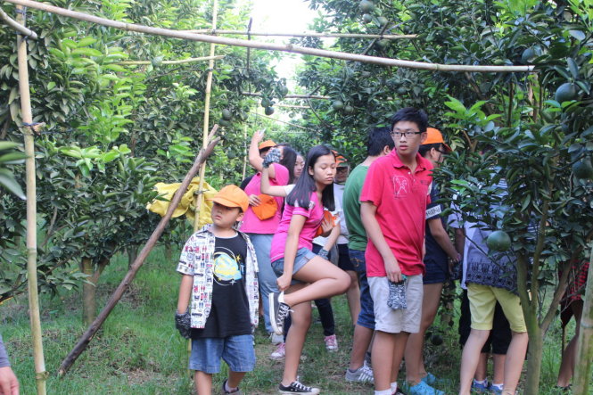 Trẻ em thích thú tìm hiểu thiên nhiên -VietKingfisher