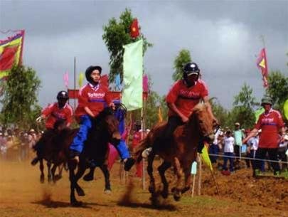 Phú Yên: khôi phục hội đua ngựa dân gian