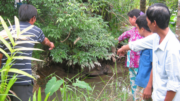 Trang trại nuôi heo gây ô nhiễm