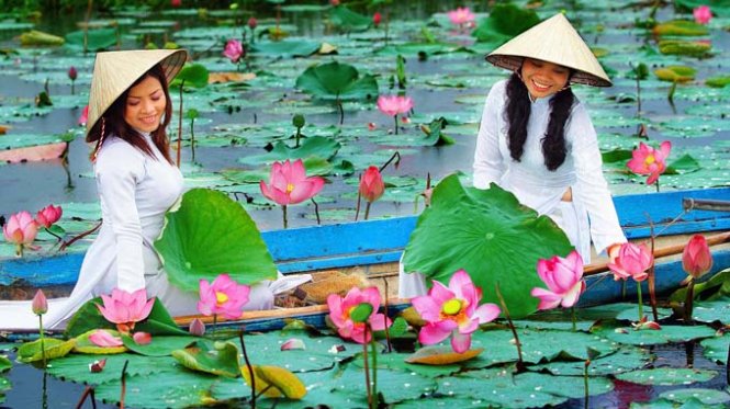 Tranh luận sôi nổi chọn sen hay lúa làm quốc hoa- Ảnh 2. Thủ tướng đồng ý lựa chọn quốc hoa