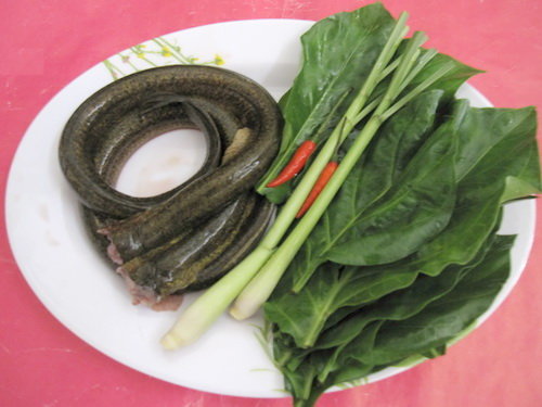 Con cá, lá rau quê nhà miền Tây - Ảnh 9.