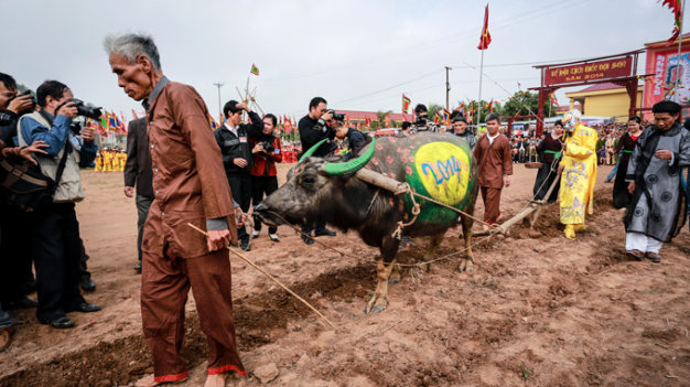 Khách Tây khoái chí xuống ruộng tát nước, cấy lúa cùng nông dân Hội An- Ảnh 7. Vui xuân ở lễ hội Tịch điền