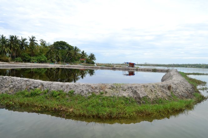 Lấn sông Trường Giang để nuôi tôm