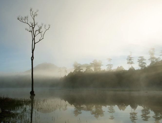 Sương giăng sớm mai trên mặt hồ tạo thành bức tranh thủy mặc -MAI VINH