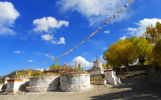 Mùa thu xanh Leh càng thêm duyên bởi những stupa trắng mộc và hàng cây vàng lá