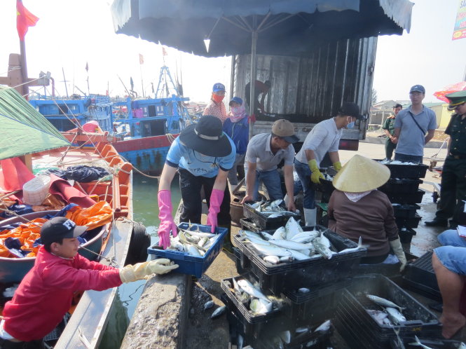 Sau sự cố cá chết hàng loạt, người dân đã e ngại ăn cá. Đến ngày 1-5 các tàu cá về cảng sông Gianh, Quảng Bình, được người mua đón nhận-Lam Giang