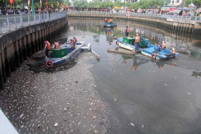 Vớt cá chết trên kênh Nhiêu Lộc - Thị Nghè -Q.Khải