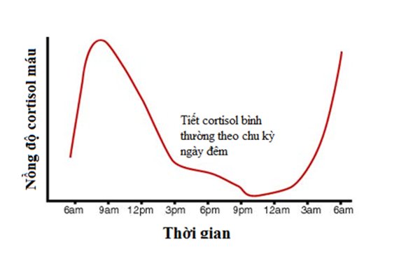 chu kì hoạt động