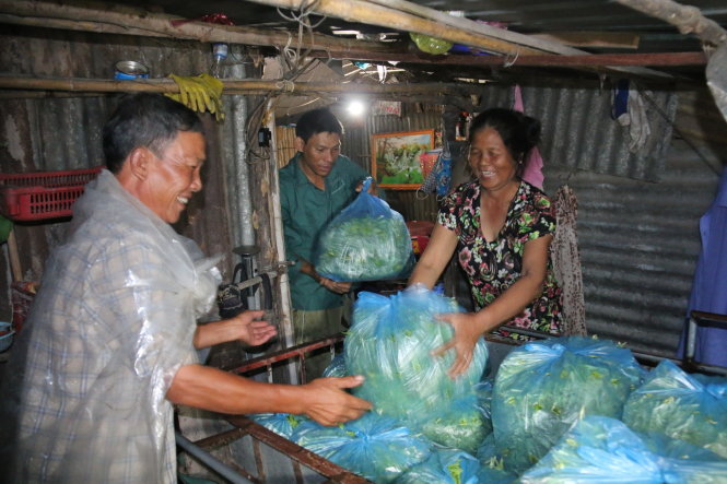 Vợ chồng ông Trần Kim Thịnh (quê Nam Định) chuẩn bị chở rau ra chợ đầu mối. Ở giữa là người trồng rau trong vùng mang túi rau đến gửi nhờ -Tiến Long