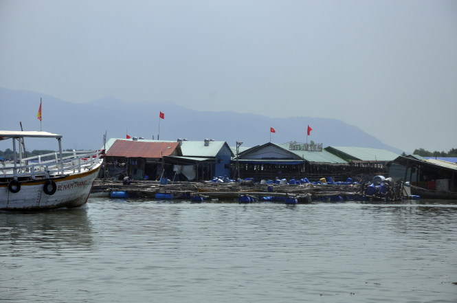 Tự ý lấn chiếm mặt nước, thả hàng trăm bè nổi trên đầm Cù Mông- Ảnh 3. Tạm đình chỉ hoạt động các bè nổi kinh doanh dịch vụ ăn uống