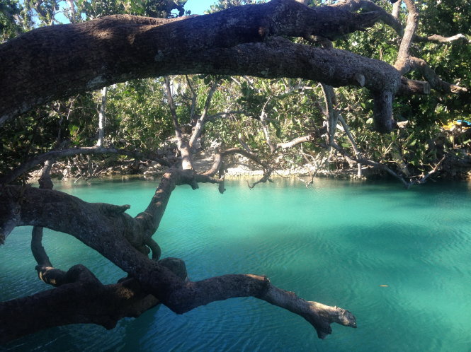 Màu xanh rất đặc trưng của lagoon-Đăng Thái