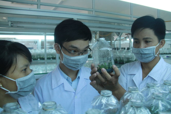 Các cán bộ trẻ thuộc diện thu hút nhân tài và đề án nguồn nhân lực chất lượng cao đang nuôi cấy mô tại Trung tâm công nghệ sinh hoạc TP Đà Nẵng -Hữu Khá